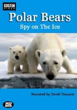 Белый медведь: Шпион во льдах (2010)