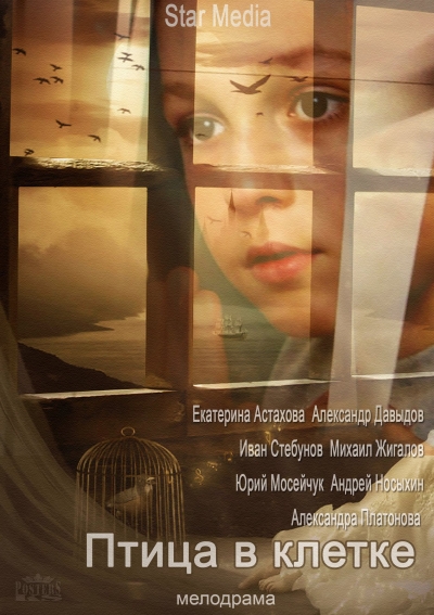 Птица в клетке (2013) (4 серии из 4)